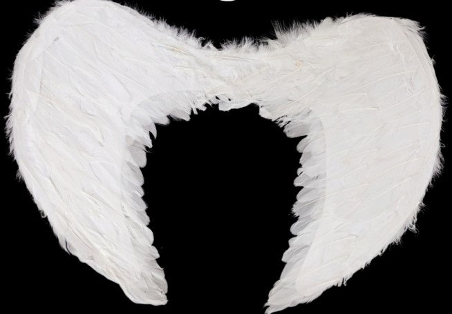 wing